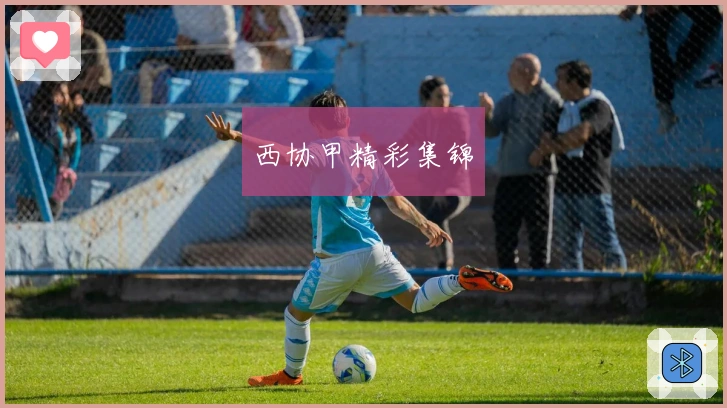 西协甲精彩集锦