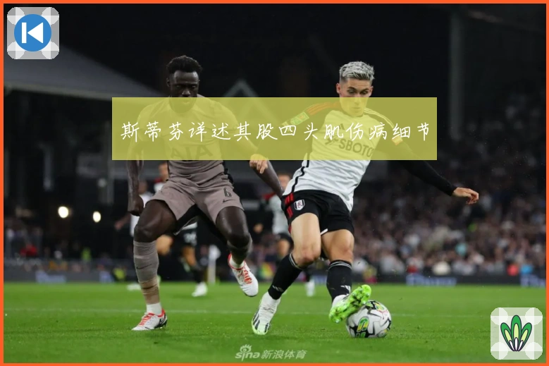 斯蒂芬详述其股四头肌伤病细节